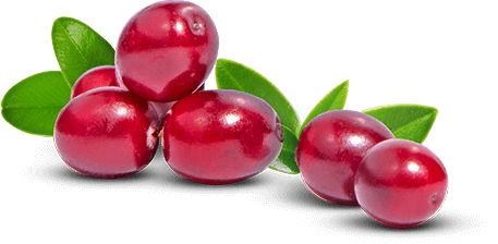 cherry image